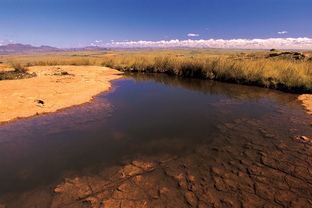 Rock Pool