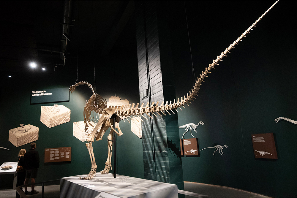 Dino