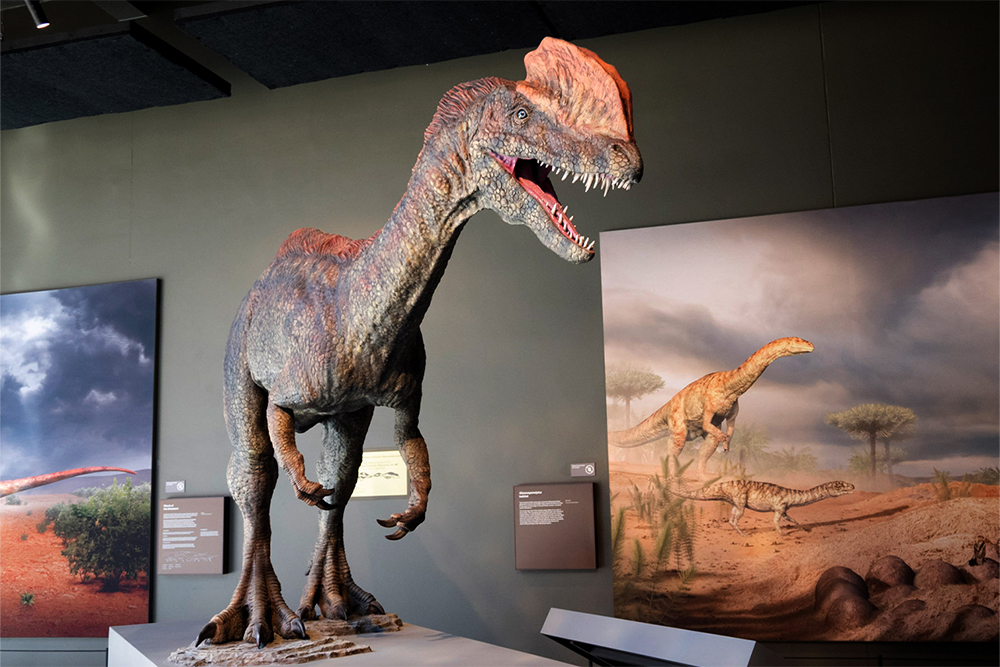 Dino