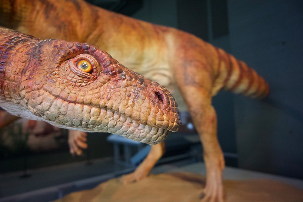 Dino