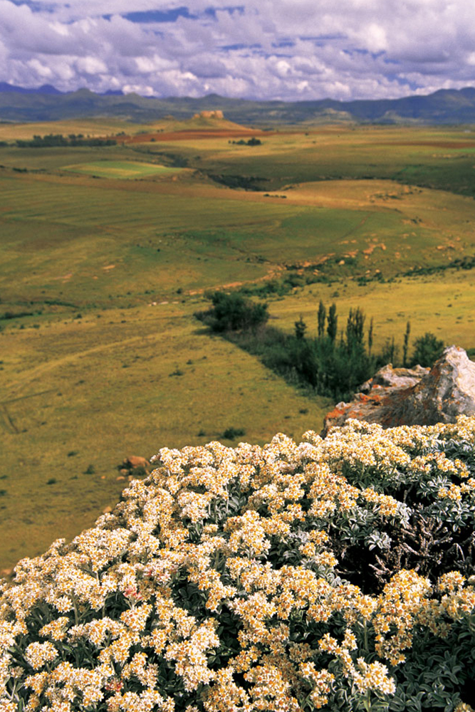 Grootkrans Landscape
